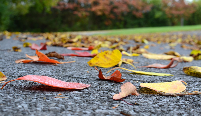 A newly tarmac driveway with leaves on the surface