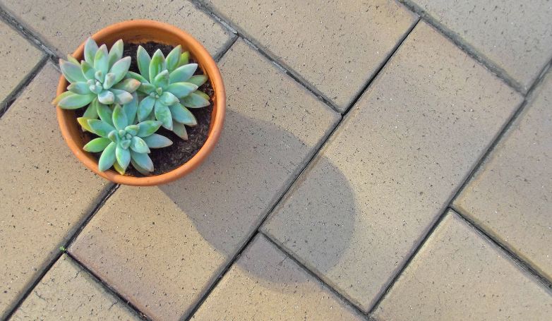 Some permeable pavers with a succulent plant in a pot above
